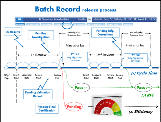 Guideline for Pharmaceutical and Medical Device Batch Record Review